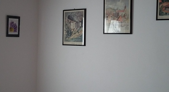 Oddam enoposteljno sobo v dvosobnem stanovanju