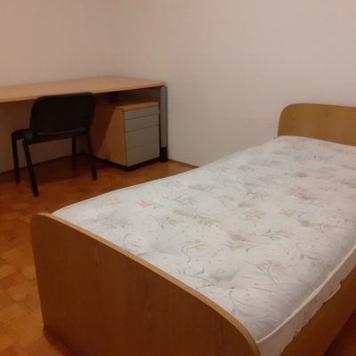 Enoposteljna soba, oddam