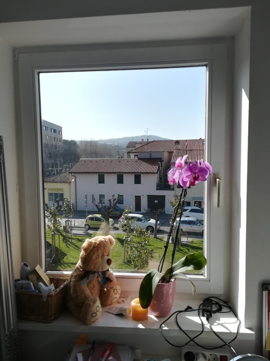 Oddam enoposteljno sobo v centru Kopra