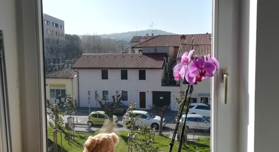 Oddam enoposteljno sobo v centru Kopra