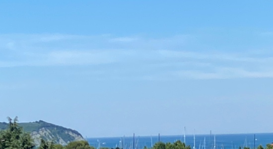 Garsonjera